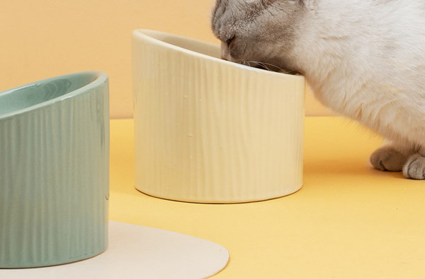 Kassi kauss keraamiline kaitsev kaelalülid kõrged jalad topelt kauss potti jugkou kassikauss kassi joogiveekauss toidukauss koerakauss