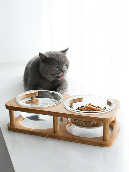 Bol pentru mâncare pentru pisici - două modele