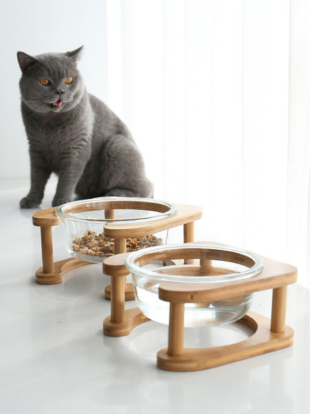 Bol pentru mâncare pentru pisici - două modele