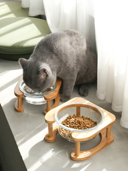 Bol pentru mâncare pentru pisici - două modele