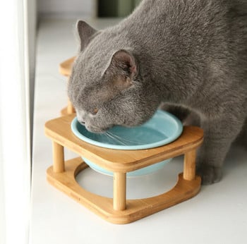 Μπολ φαγητού με βάση - για γάτες