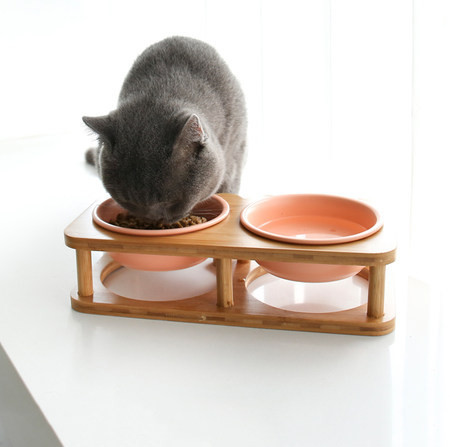 Toidukauss koos alusega - kassidele