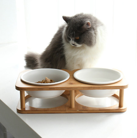 Toidukauss koos alusega - kassidele