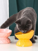 Μπολ σε πολλά χρώματα για γατοτροφή