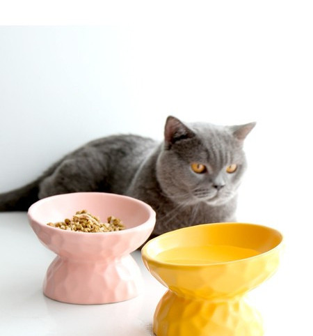 Μπολ σε πολλά χρώματα για γατοτροφή