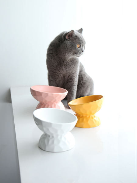 Μπολ σε πολλά χρώματα για γατοτροφή