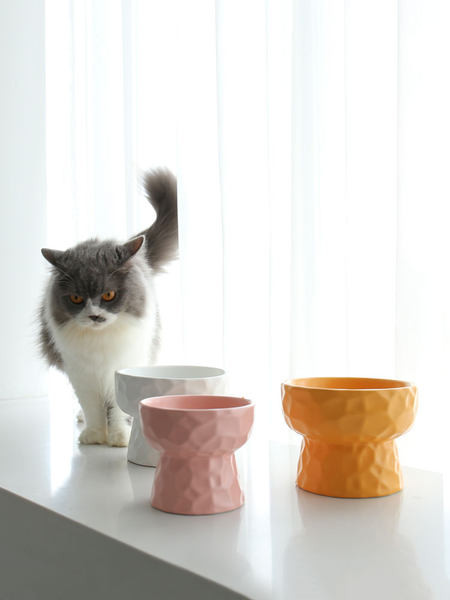 Bol din ceramică pentru pisici în două dimensiuni