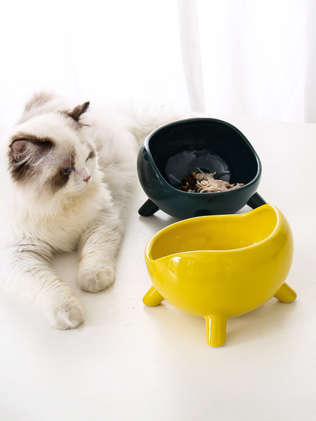 Bol din ceramica pentru mancarea pisicilor
