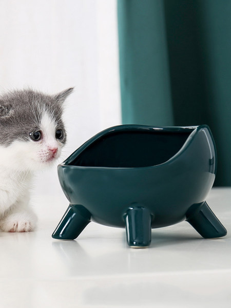 Bol din ceramica pentru mancarea pisicilor