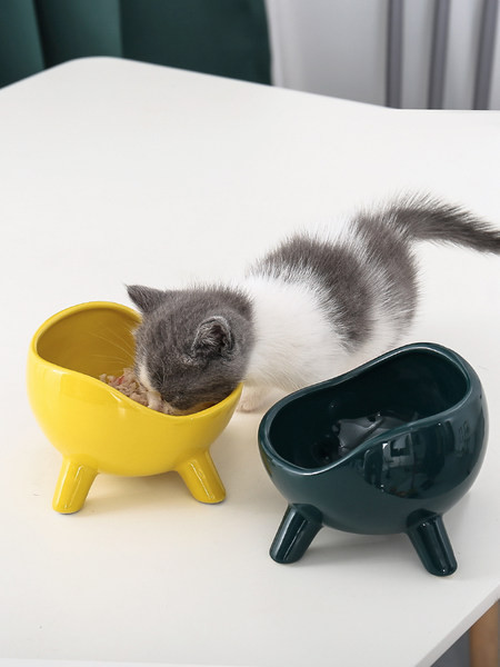 Bol din ceramica pentru mancarea pisicilor