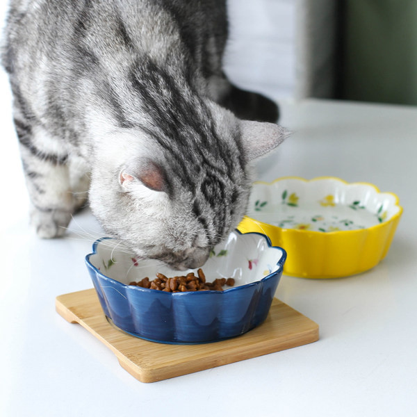 Цветна керамична купа за котки