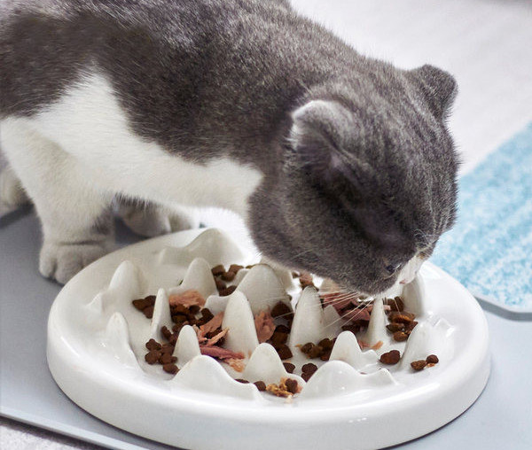 Bol din ceramică pentru pisici pentru hrănire lentă