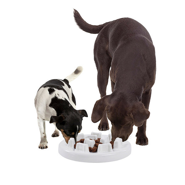 Bol din ceramică pentru pisici pentru hrănire lentă