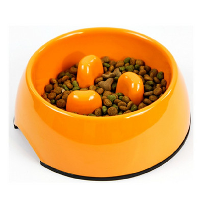 Πλαστικό μπολ για φαγητό ή νερό για γάτες