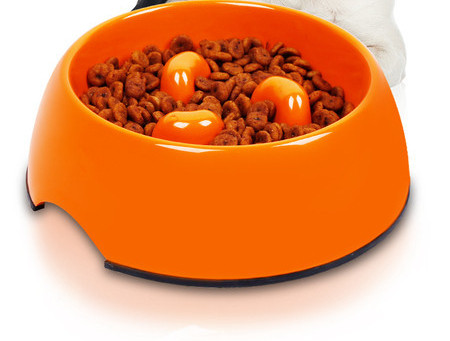 Πλαστικό μπολ για φαγητό ή νερό για γάτες