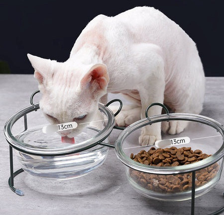 Γυάλινο μπολ φαγητού με βάση σε δύο μοντέλα για γάτες