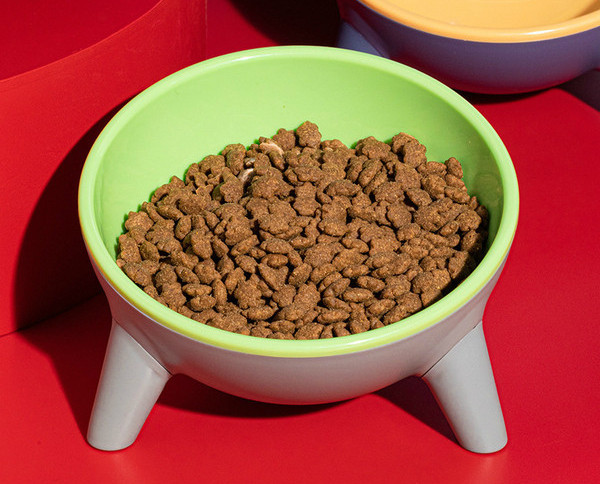 Bol din ceramică pentru mâncare pentru pisici