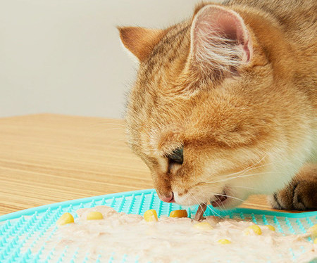 Πλαστικό δοχείο για γατοτροφή