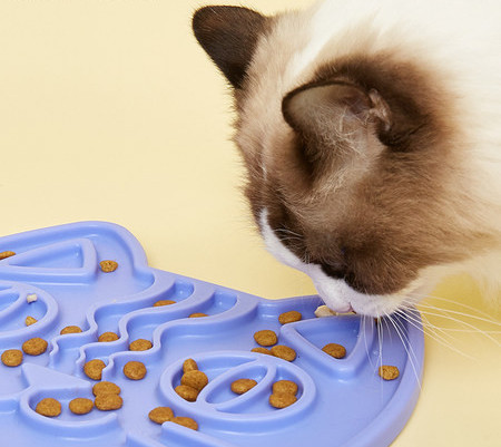 Πλαστικό δοχείο για γατοτροφή