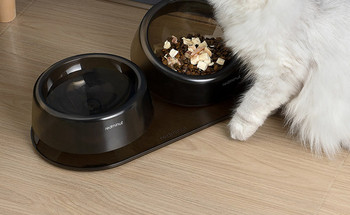 Μπολ φαγητού σε δύο μοντέλα για γάτες