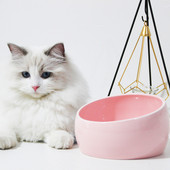 Mitmes värvitoonis keraamiline kauss kassitoidu jaoks