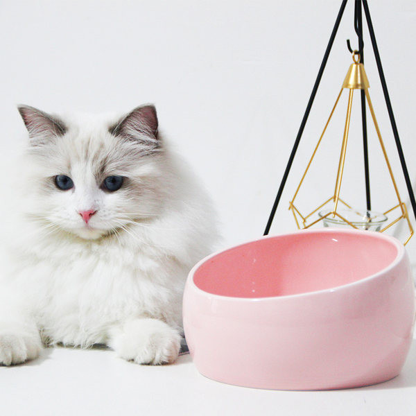 Mitmes värvitoonis keraamiline kauss kassitoidu jaoks