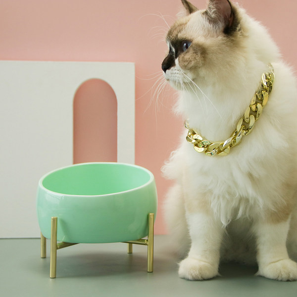 Mitmes värvitoonis keraamiline kauss kassitoidu jaoks