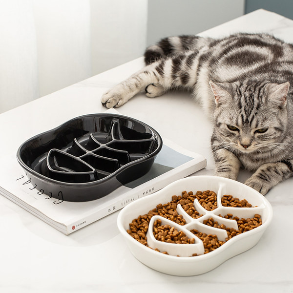 Keraamiline kauss aeglaselt toitvatele kassidele