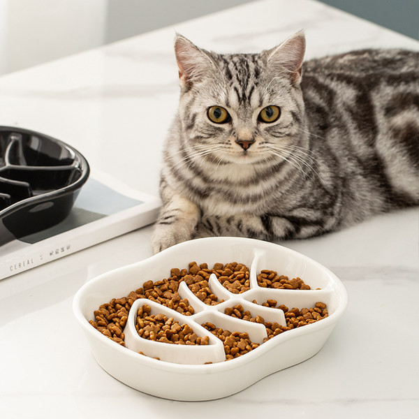 Keraamiline kauss aeglaselt toitvatele kassidele