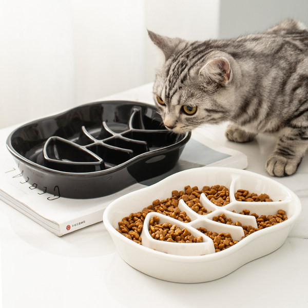 Keraamiline kauss aeglaselt toitvatele kassidele