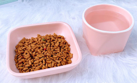 Bol potrivit pentru un animal de companie