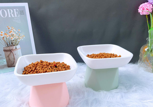 Bol potrivit pentru un animal de companie