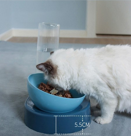 Recipient pentru hrana pentru animale de companie
