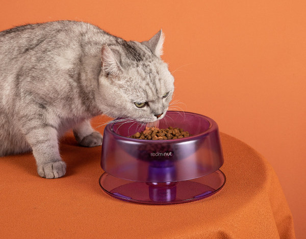 Στρογγυλό μπολ με τροφή για κατοικίδια