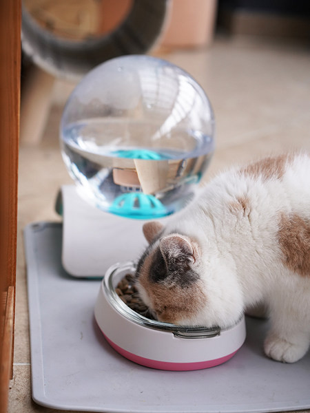 Bol rotund pentru mâncare pentru pisici