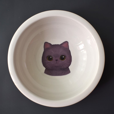 Keramička posuda s aplikacijom u dva modela za mačke