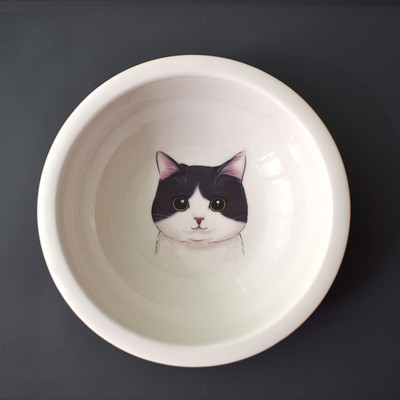 Keramička posuda s aplikacijom u dva modela za mačke