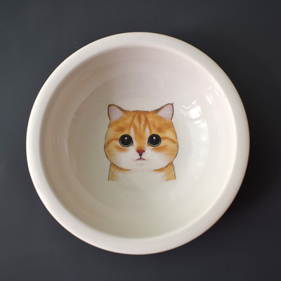 Keramička posuda s aplikacijom u dva modela za mačke
