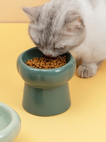 Keraamiline kauss kassidele - kaks mudelit