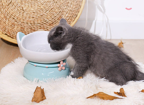 Керамична купа за храна на домашни любимци с декорация цвете