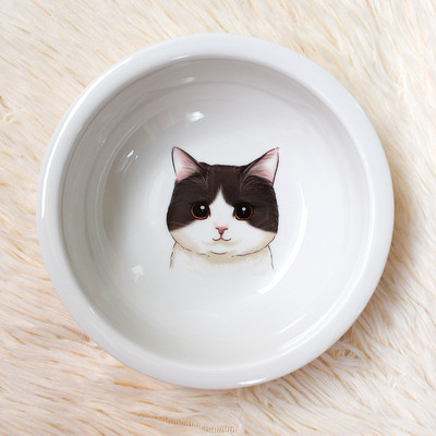 Ümmargune keraamiline kauss kassitoidu jaoks