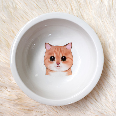 Ümmargune keraamiline kauss kassitoidu jaoks