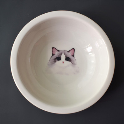 Ümmargune keraamiline kauss kassitoidu jaoks