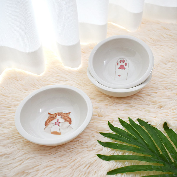 Ümmargune keraamiline kauss kassitoidu jaoks