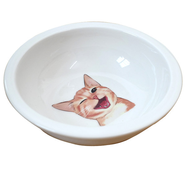 Ümmargune keraamiline kauss kassitoidu jaoks