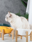 Керамична купа с дървени крака или без