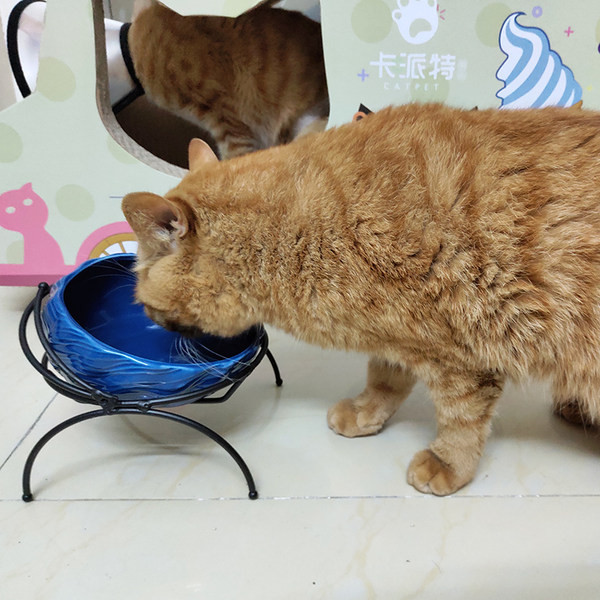 Керамична купа в няколко цвята за домашни любимци 