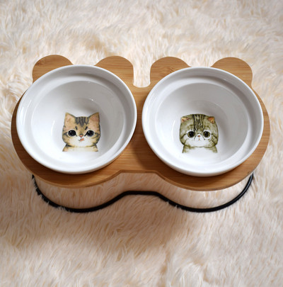 Lemmiklooma alusega toidukauss