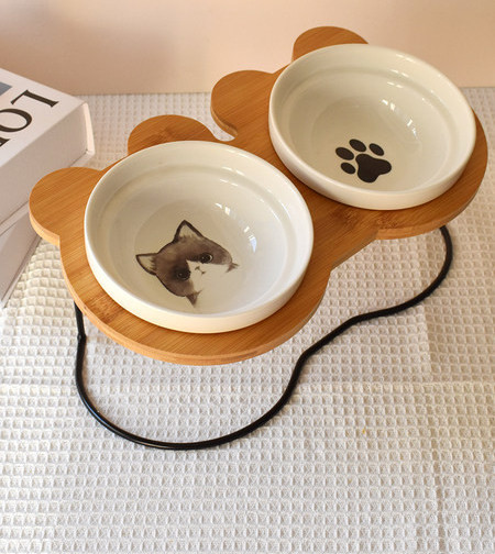 Lemmiklooma alusega toidukauss