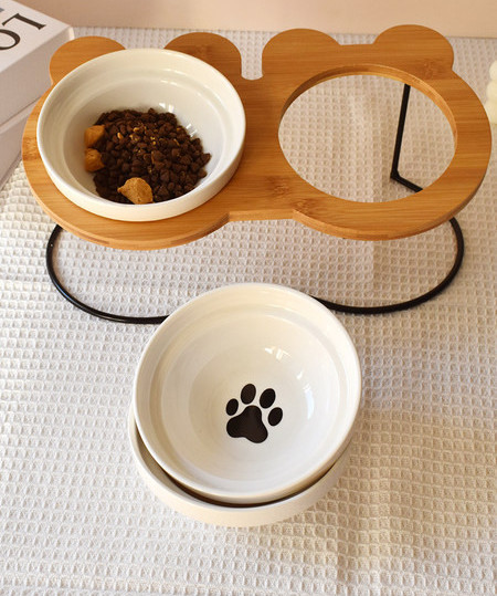 Lemmiklooma alusega toidukauss